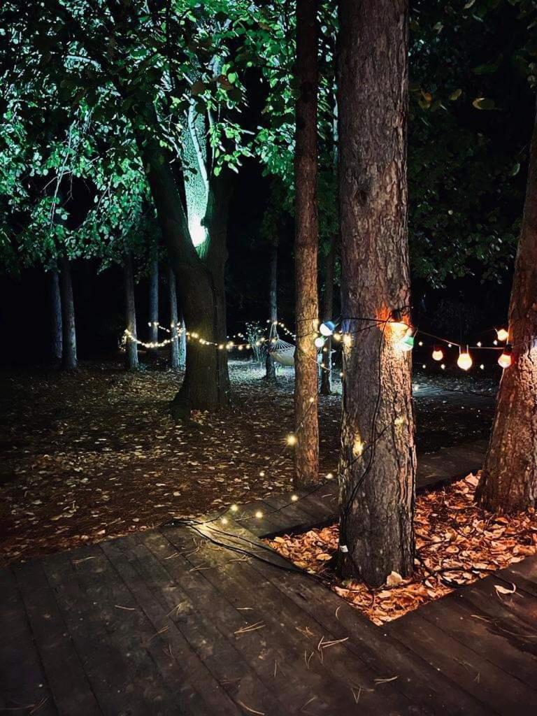 Kuca Za Odmor Vrdnik Villa Bagian luar foto